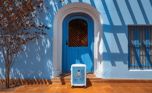 The Future of Luggage: Why Interchangeable Canvas Panels are a Game-Changer