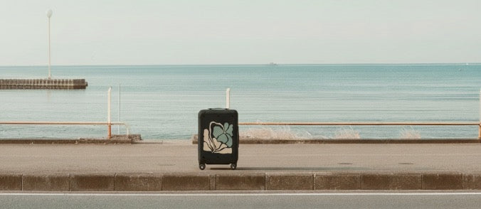 The Evolution of Luggage: Designer Travel Trends