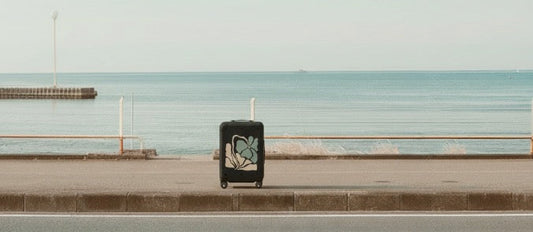 The Evolution of Luggage: Designer Travel Trends